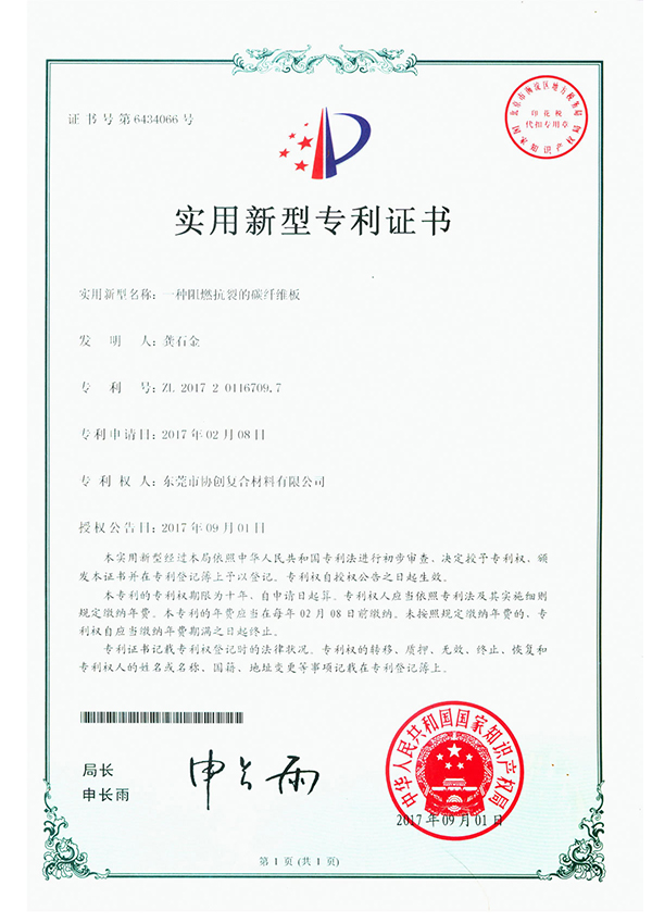 carbon plate 2