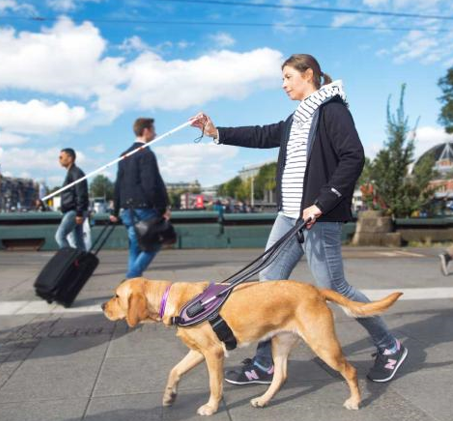 Carbon Fiber Traction Belt for Guide Dog